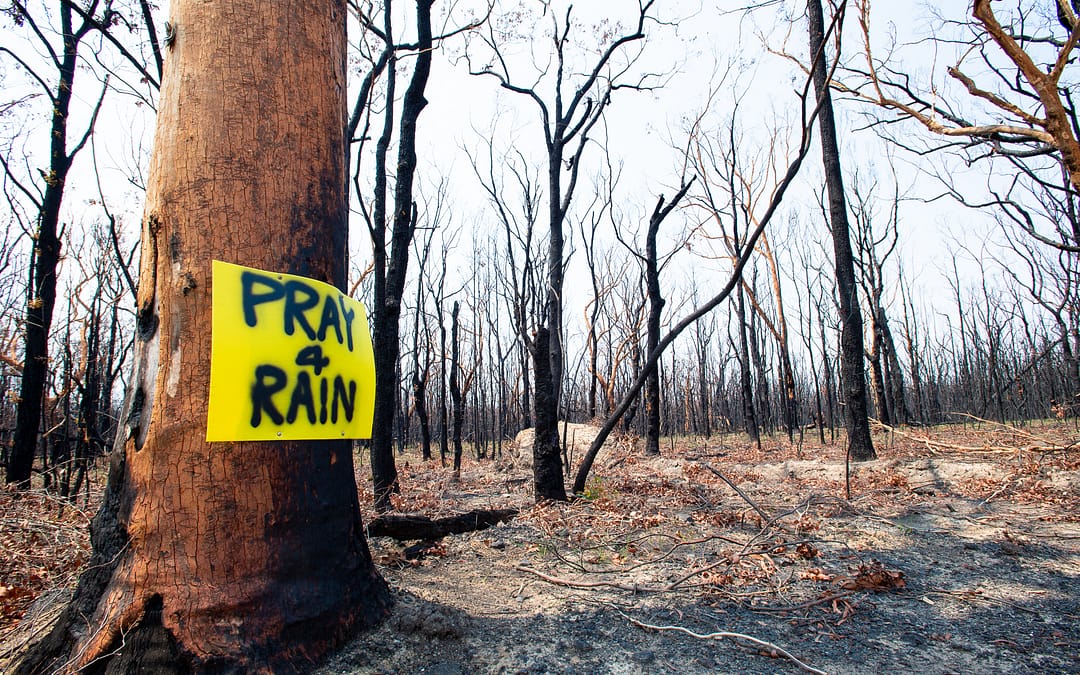 Bushfire Recovery