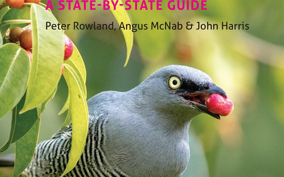 New Book: Wildlife of the Australian Rainforests