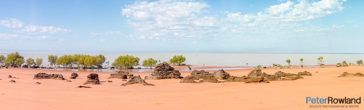 Roebuck Bay Panorama of Roebuck Bay near Broome Western Australia