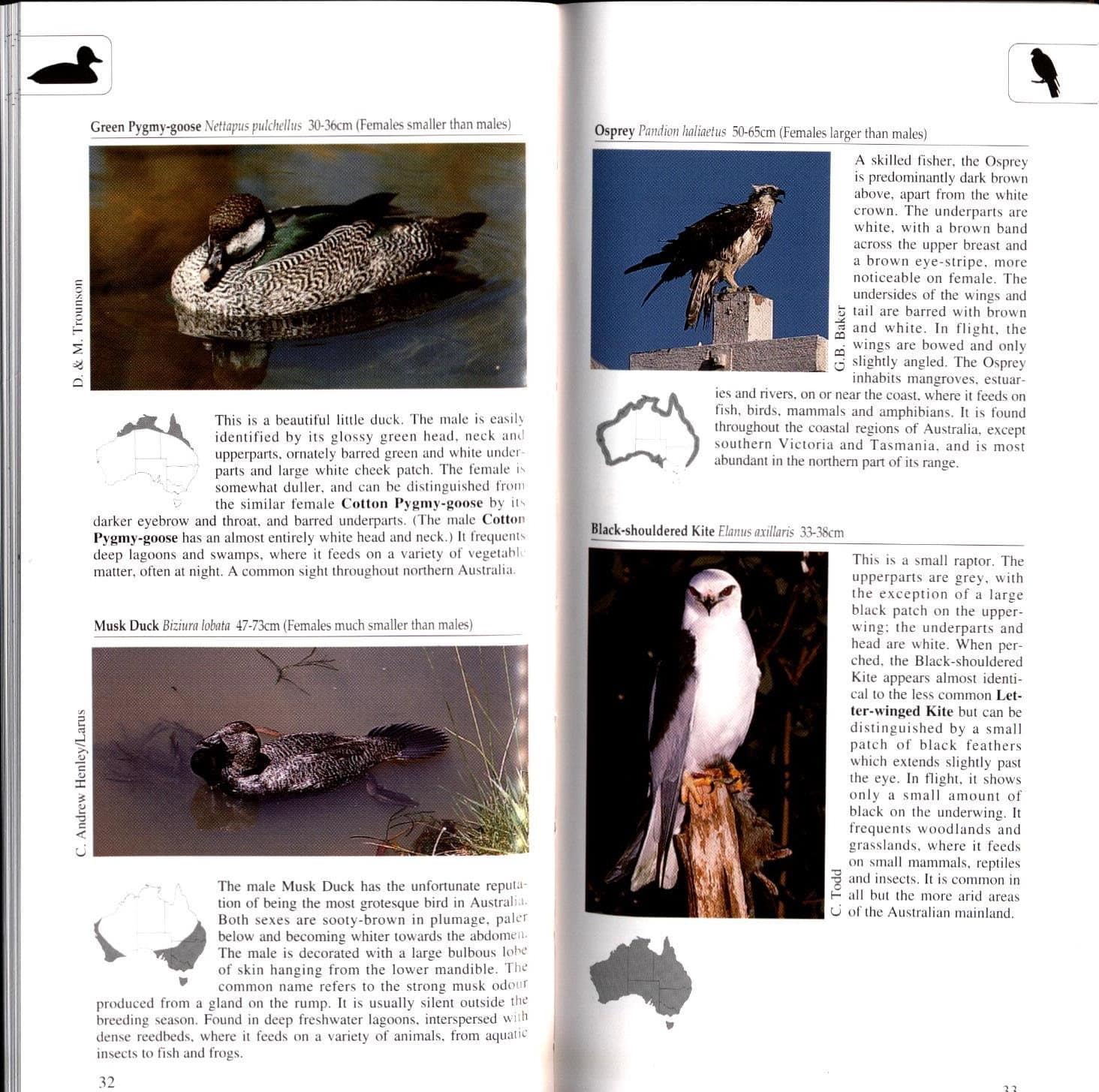 A Photographic Guide to Birds of Australia - Image 4