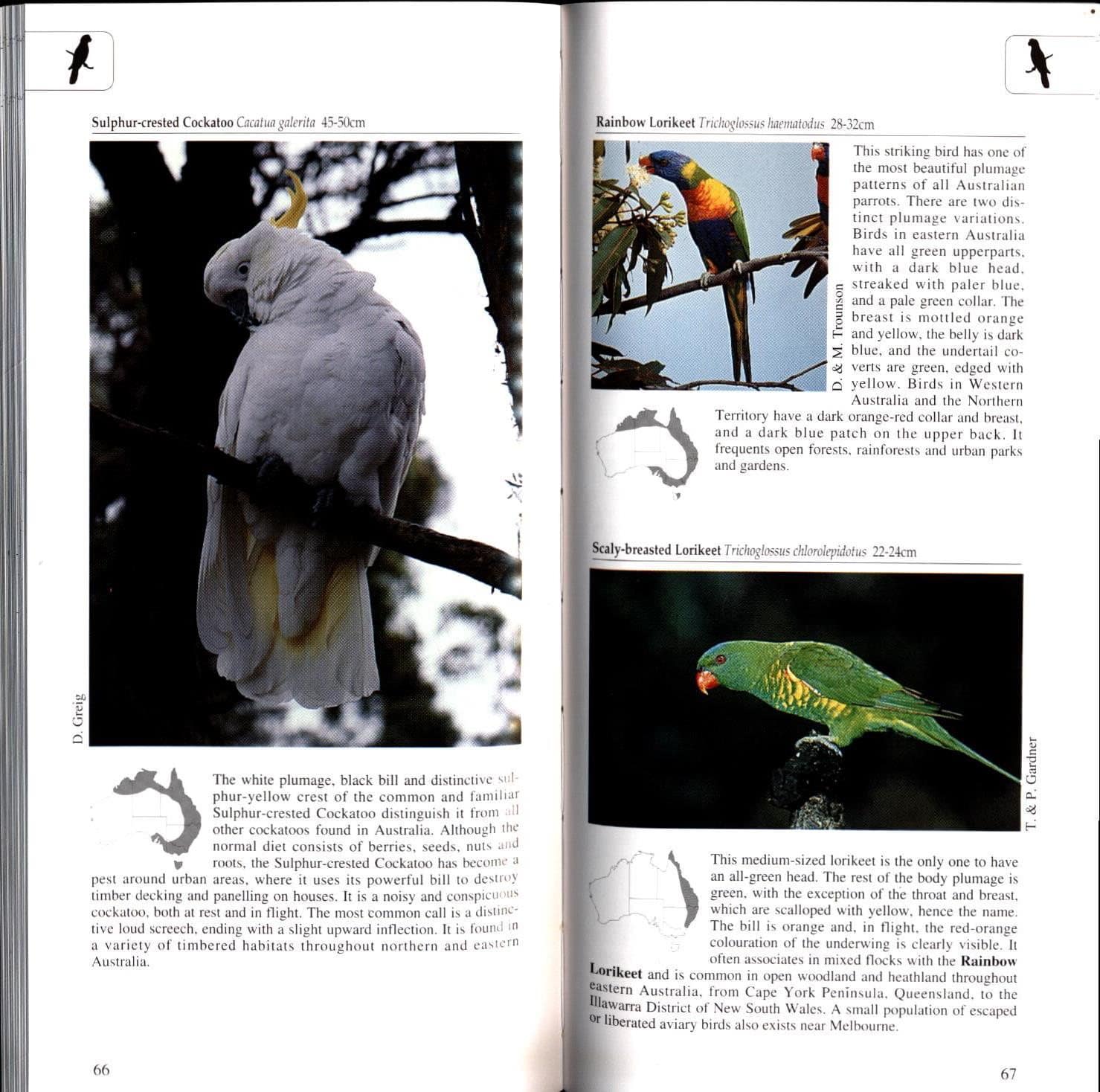A Photographic Guide to Birds of Australia - Image 3