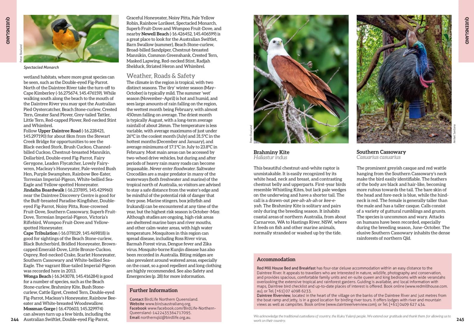Australia's Birdwatching Megaspots - Image 3
