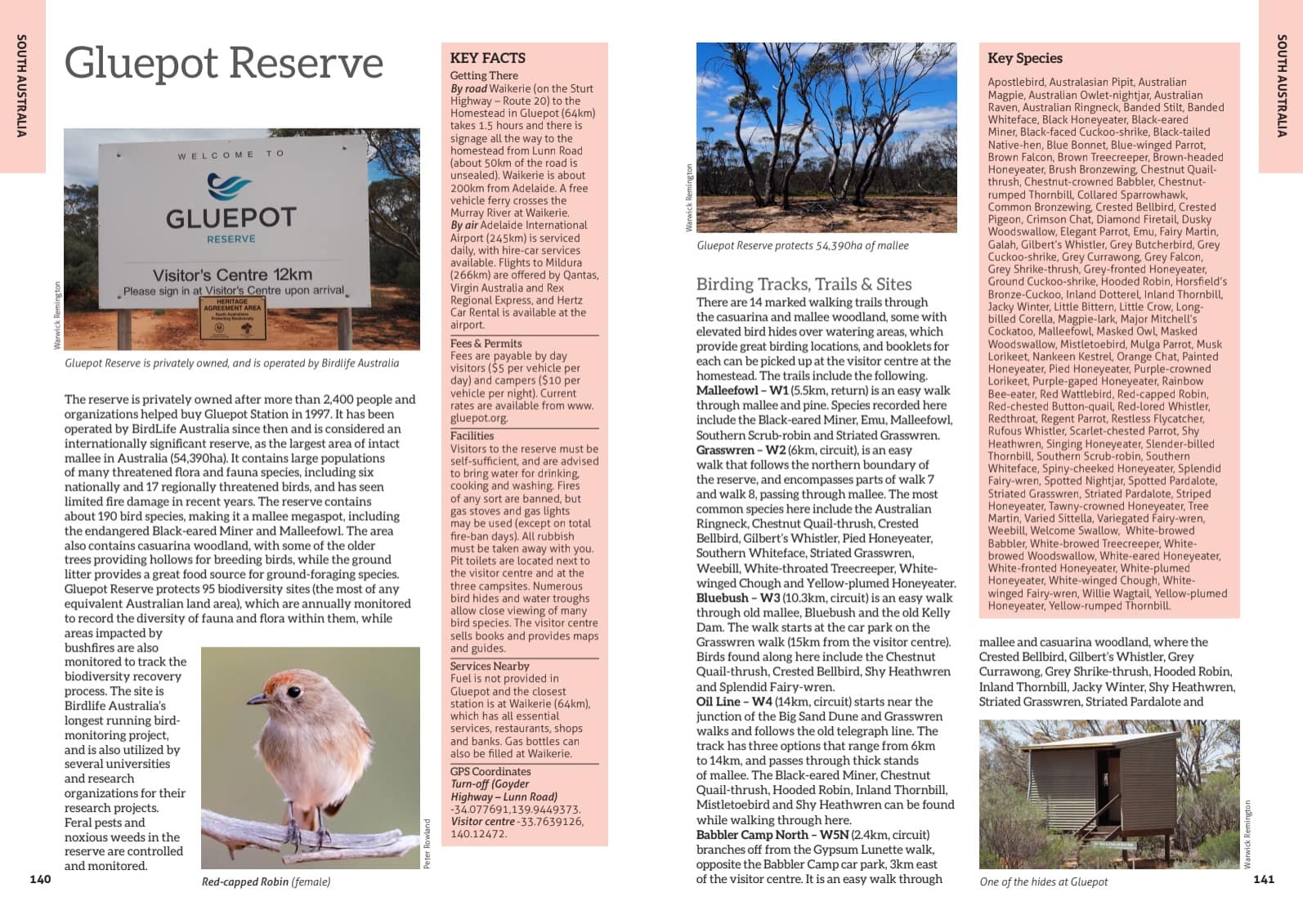 Australia's Birdwatching Megaspots - Image 5