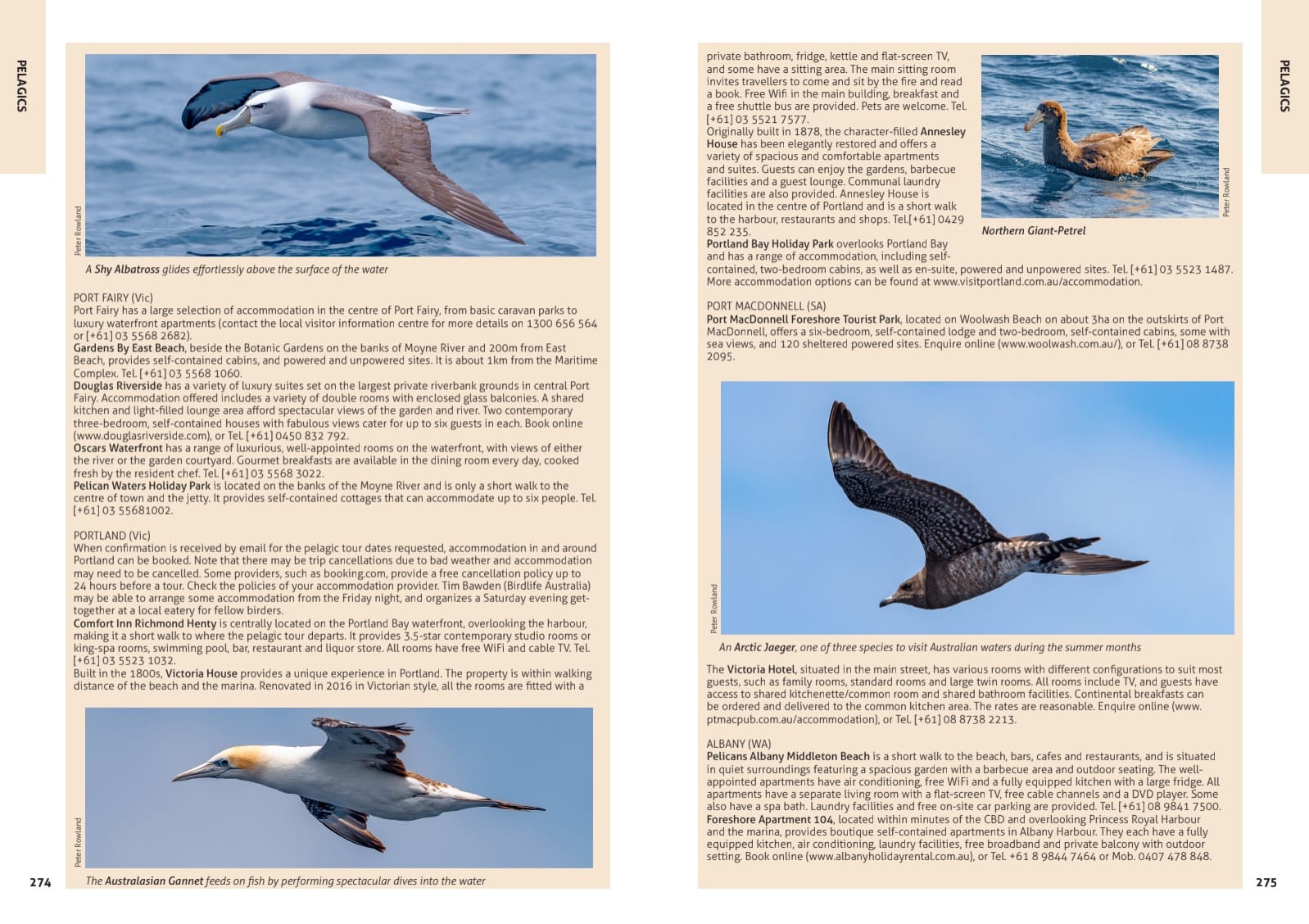 Australia's Birdwatching Megaspots - Image 6