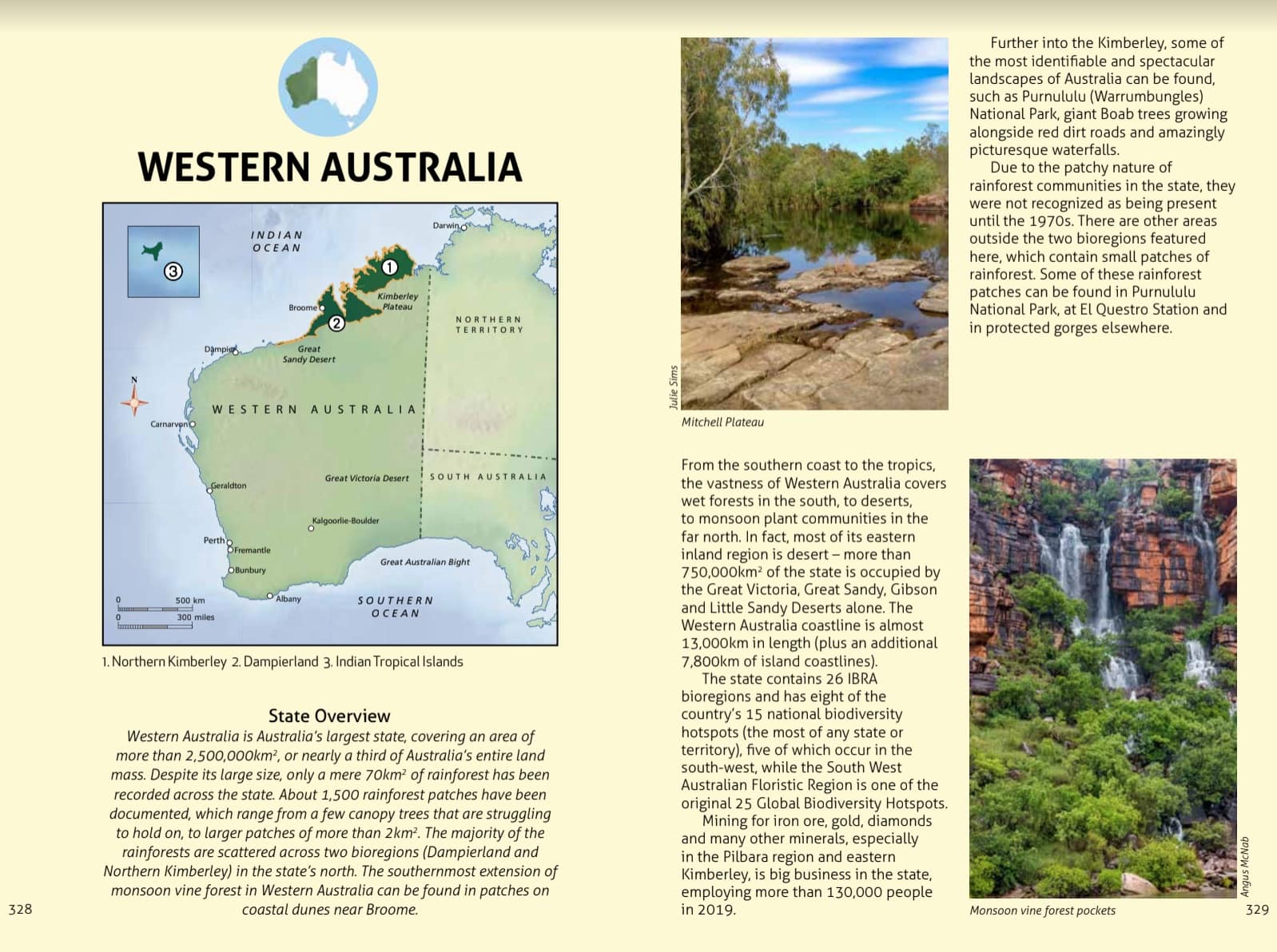 Wildlife of the Australian Rainforests - Image 14