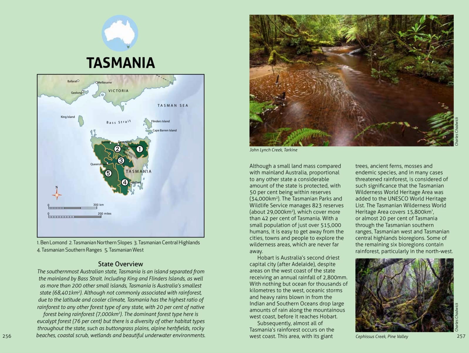 Wildlife of the Australian Rainforests - Image 12