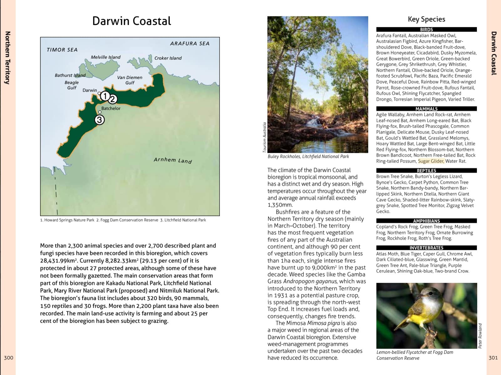 Wildlife of the Australian Rainforests - Image 15