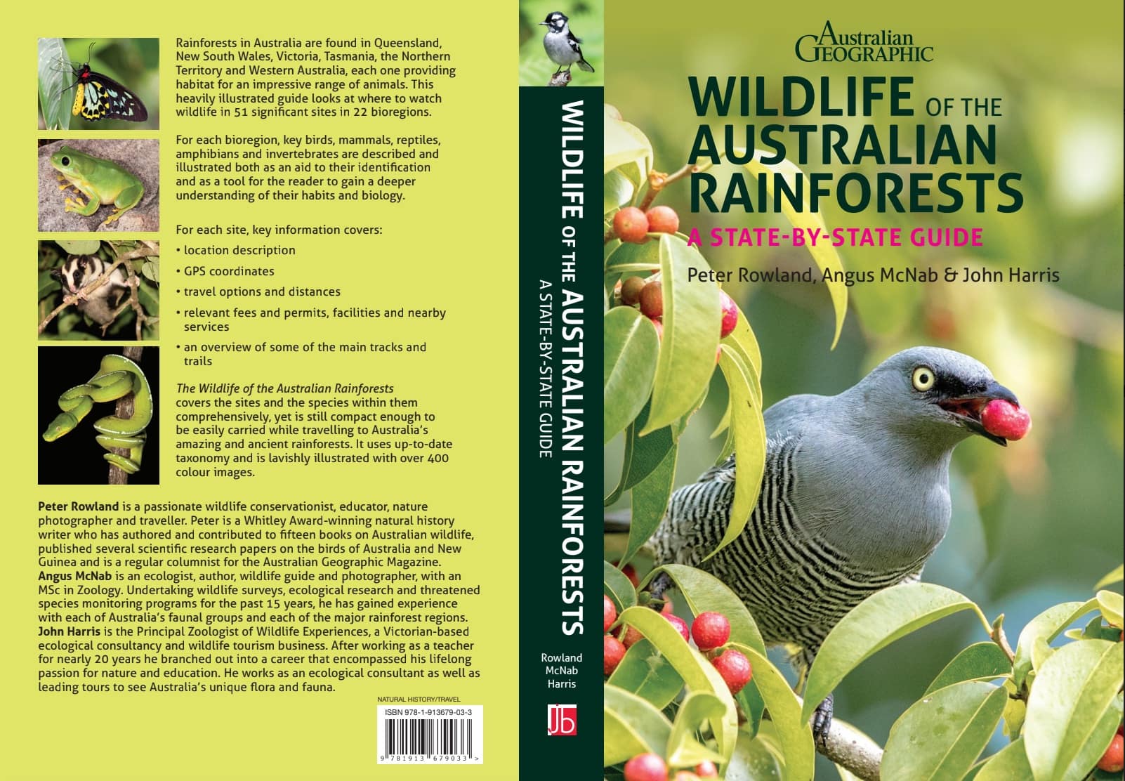 Wildlife of the Australian Rainforests - Image 2