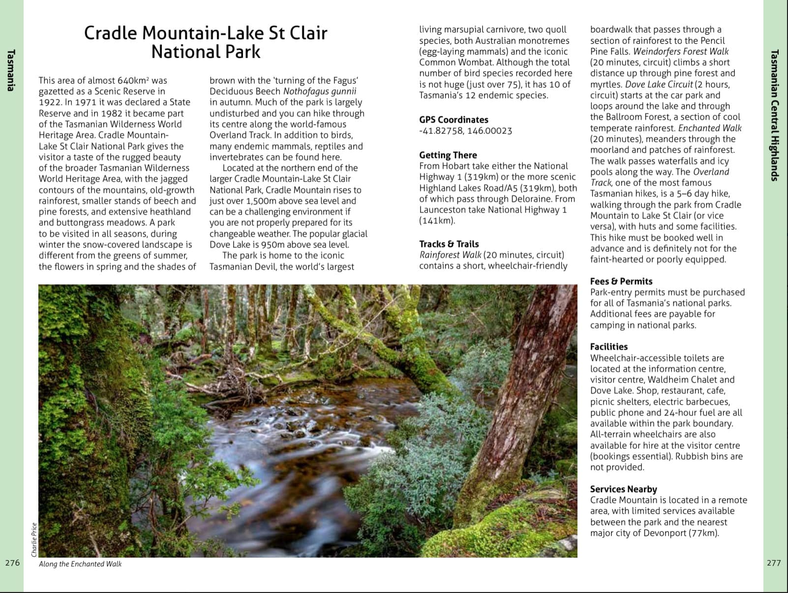 Wildlife of the Australian Rainforests - Image 6
