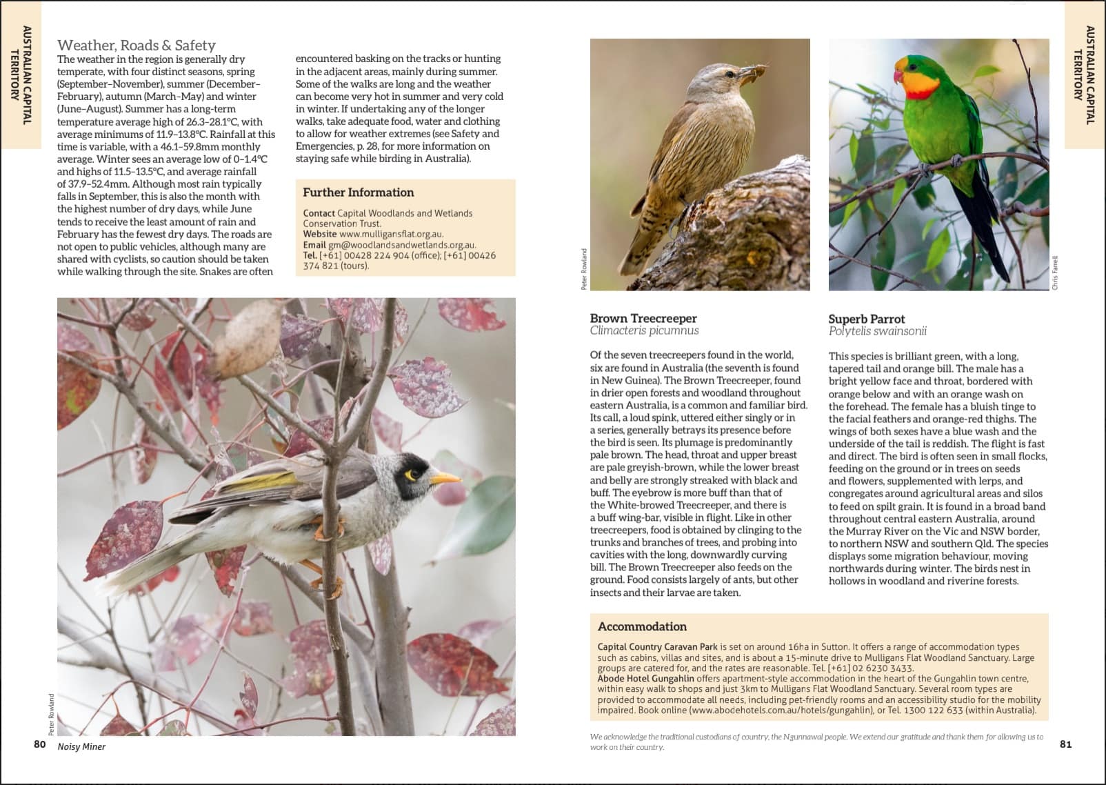 Australia's Birdwatching Megaspots - Image 4