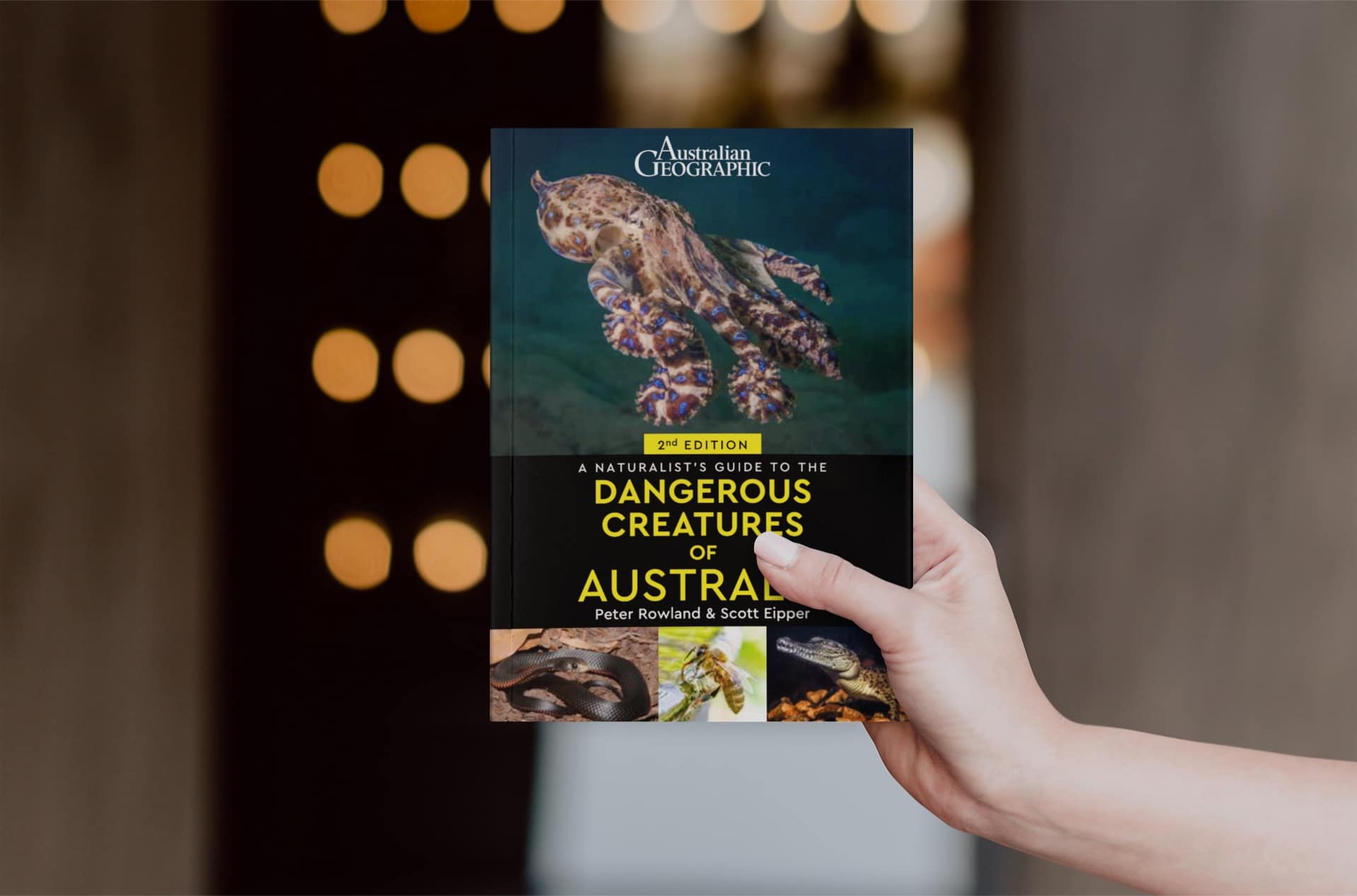 mockup-of-a-woman-s-hand-holding-a-paperback-book-2354-el1 book-mockup-of-a-girl-reading-a copy of the book "A Naturalist's Guide to the Insects of Australia (2nd Edition)"-in-her-bedroom