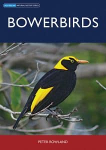Bowerbirds book front cover showing a Regent Bowerbird