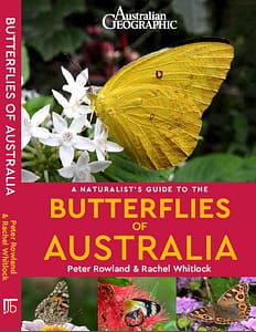 Butterflies of Australia2 A Naturaliust's Guide to the Butterflies of Australia cover