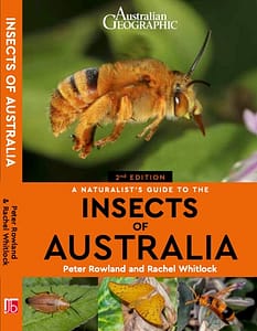 Insects of Australia 2nd Edition Cover Cover of 2nd Edition of a Naturalists Guide to the Insects of Australia