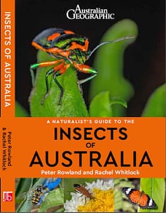Insects of Australia Cover of the book, A Naturalist's Guide to the Insects of Australia