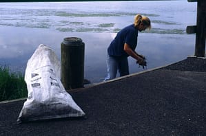 Kate Rowland on clean up Australia Day