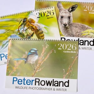 2026 Wildlife Calendar