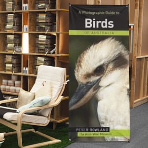 A Photographic Guide to Birds of Australia