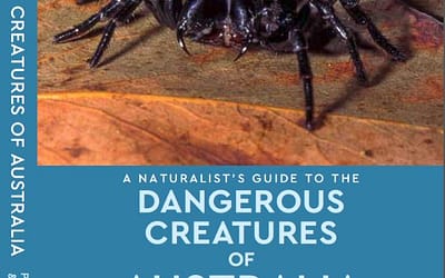 Dangerous Creatures