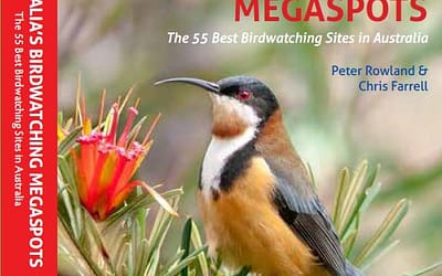 Birdwatching Megaspots Release