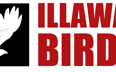 Illawarra Birders
