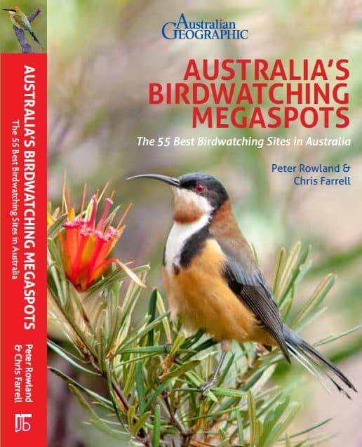 Birdwatching Megaspots Release