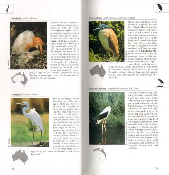 A Photographic Guide to Birds of Australia - Image 5