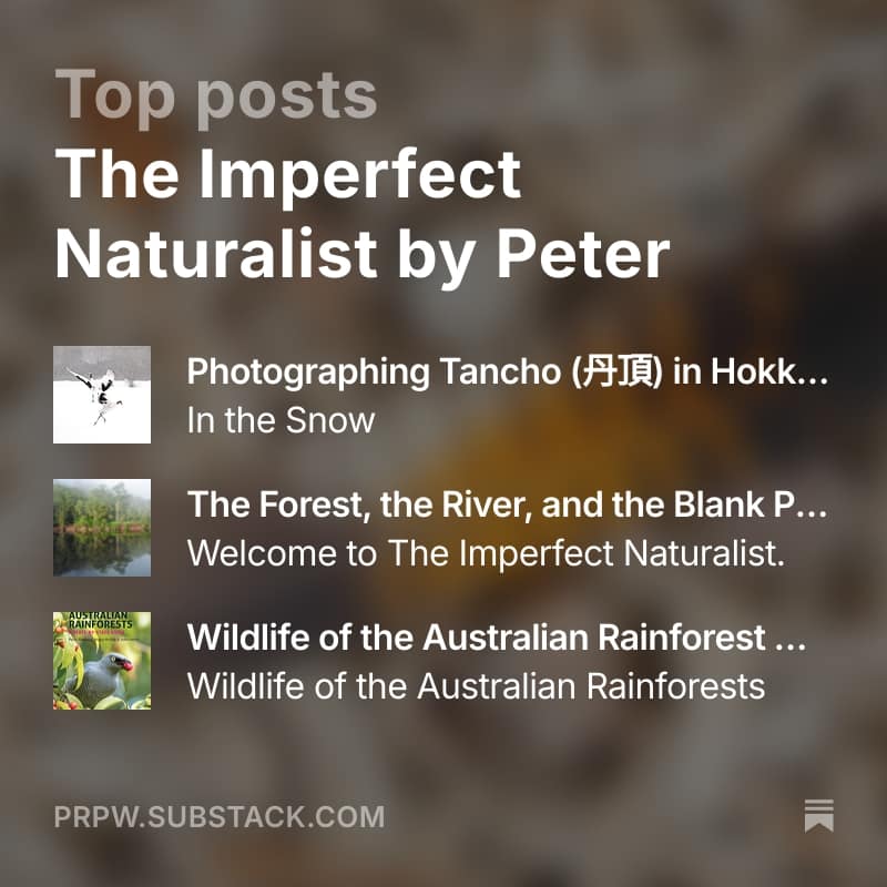 The Imperfect Naturalist - square Substack Channel Logo